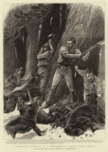 Epätoivoinen taistelu mäntymetsässä Mainessa, Pohjois-Amerikassa